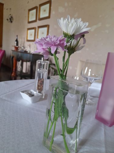 Photo de l'intérieur 1