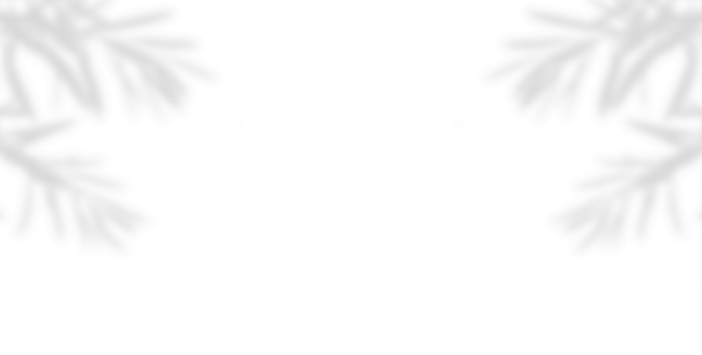 Photo du restaurant 1